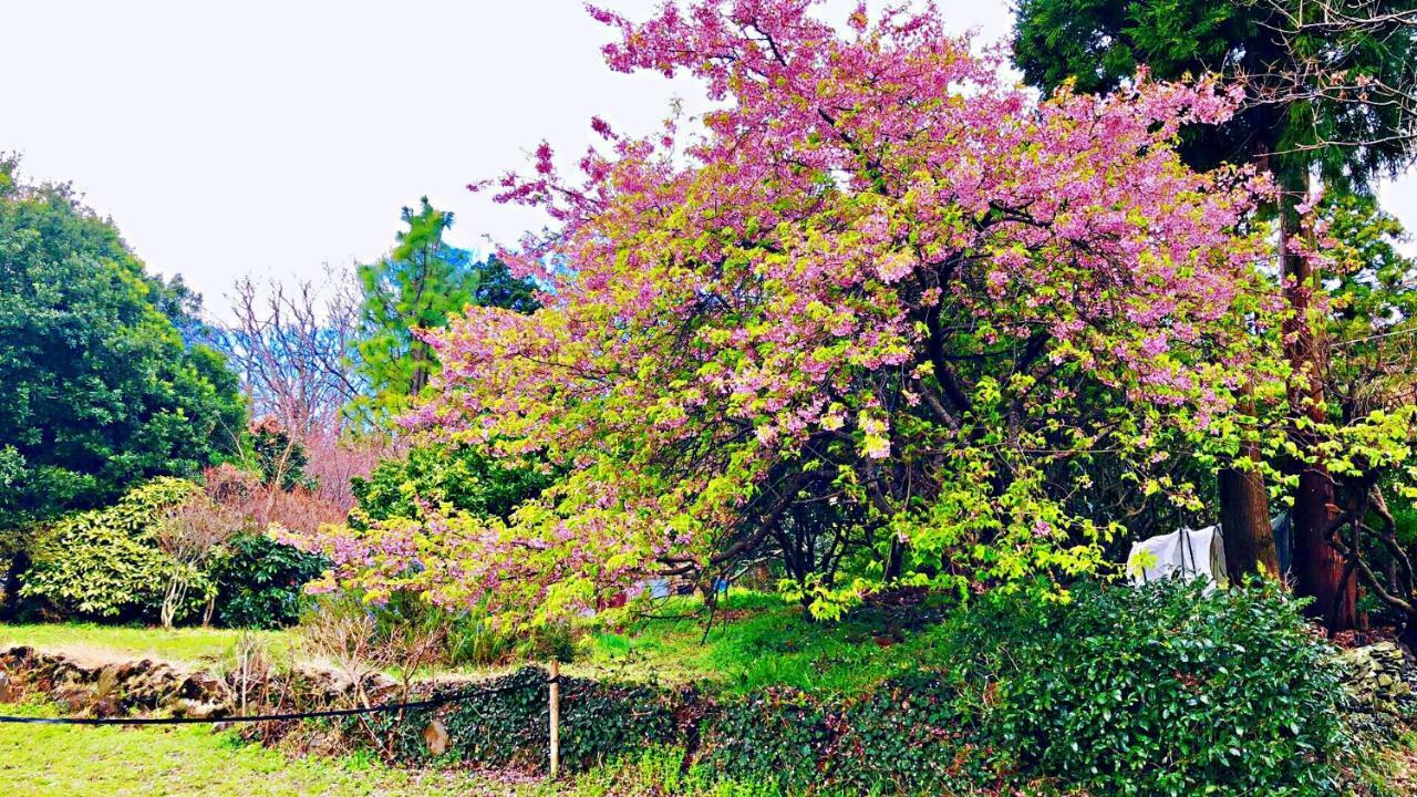 Futo Forest Villa Olive מראה חיצוני תמונה