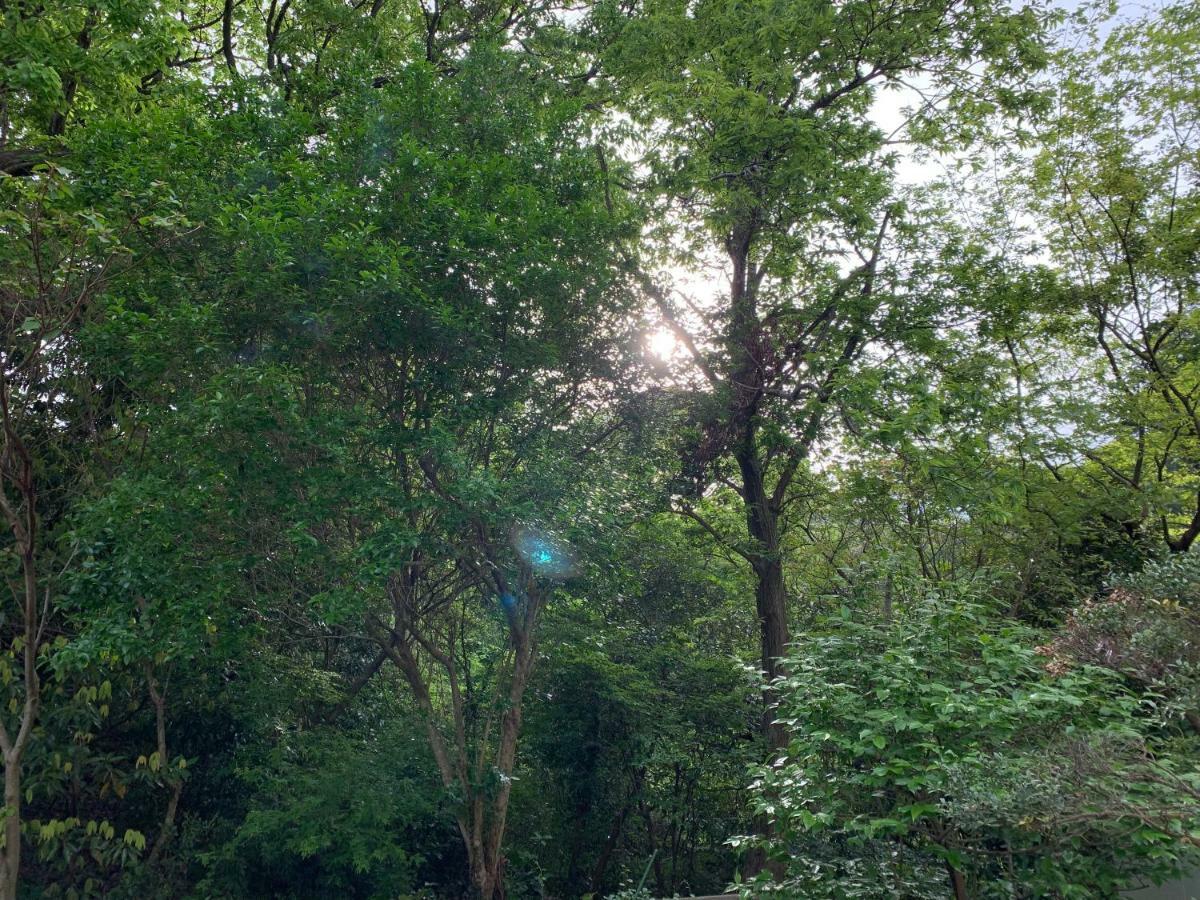 Futo Forest Villa Olive מראה חיצוני תמונה